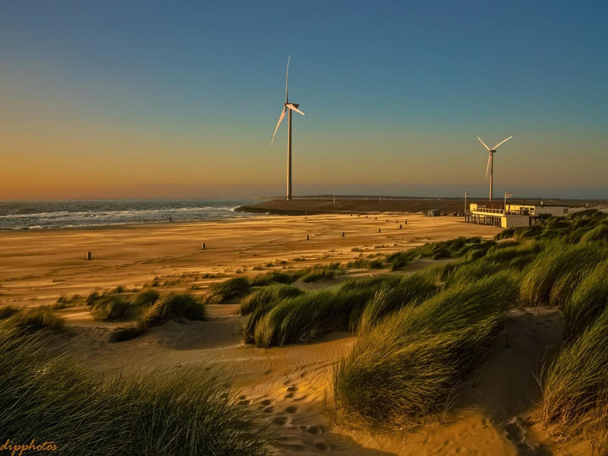 Superb Apartment Near The Beach In Vrouwenpolder Exterior foto